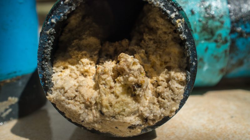 What You Should Know About Plumbing Clogs